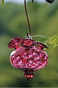 Bird Brain Charisma Wine Red Hummingbird Feeders