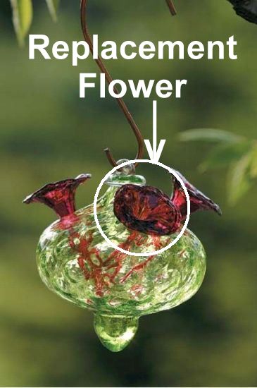 Bird Brain Replacement Hummingbird Feeder Flower