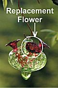 Bird Brain Replacement Hummingbird Feeder Flower