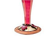Hummingbird Feeder Replacement Base